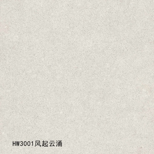 HW3001_风起云涌